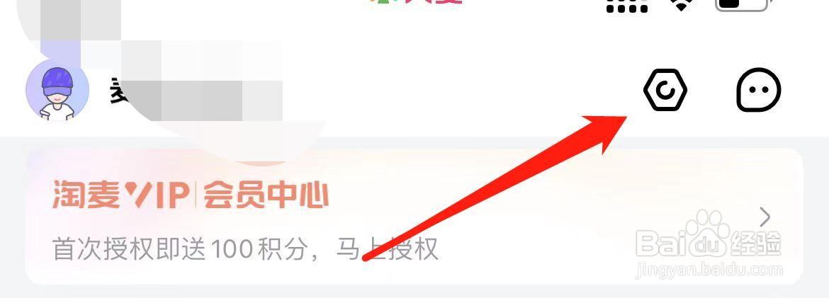 大麦在哪里进入隐私设置？