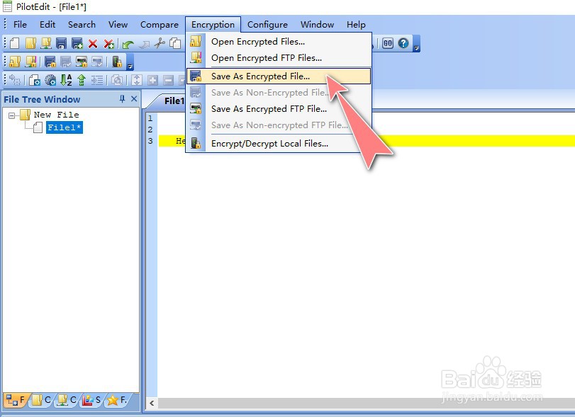 如何使用PilotEdit工具进行加密文件