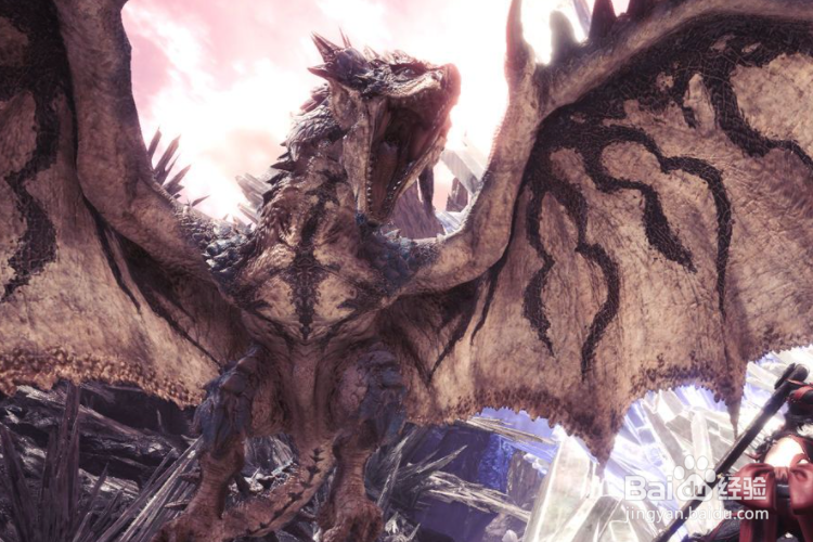 怪物猎人感谢票怎么获得