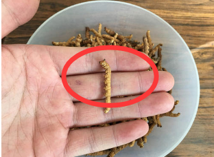 冬虫夏草怎么食用 冬虫夏草的吃法技巧