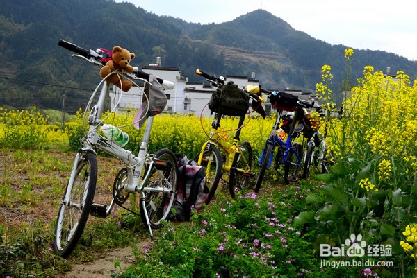 婺源骑行路线