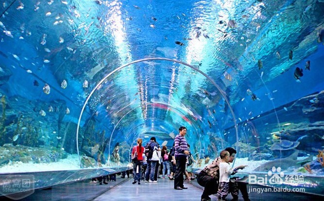 4天玩天津市内旅 游