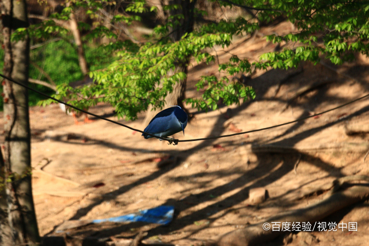 青岛市有什么好玩的景点