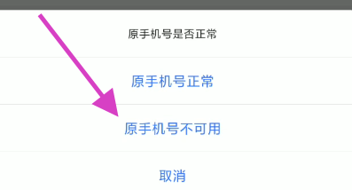 掌上12333账号原手机号码更换如何修改密码