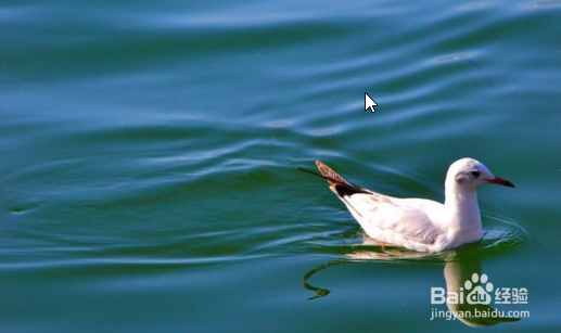 偶尔失眠怎么办