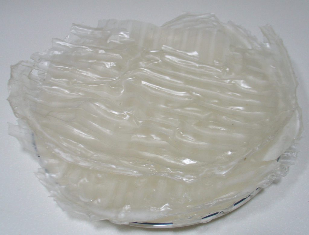 白菜炖山东大粉皮，你知道怎么做吗？