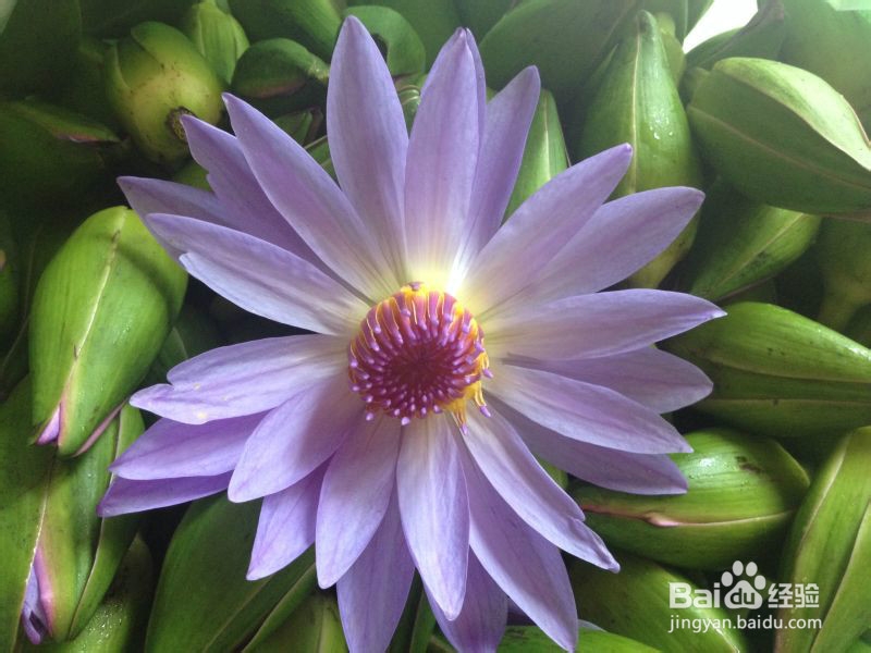 怎么样才会给肌肤更好的补水保湿