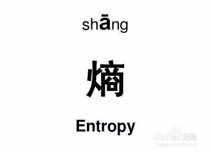 视觉图像:熵计算-全局熵 vs 局部熵