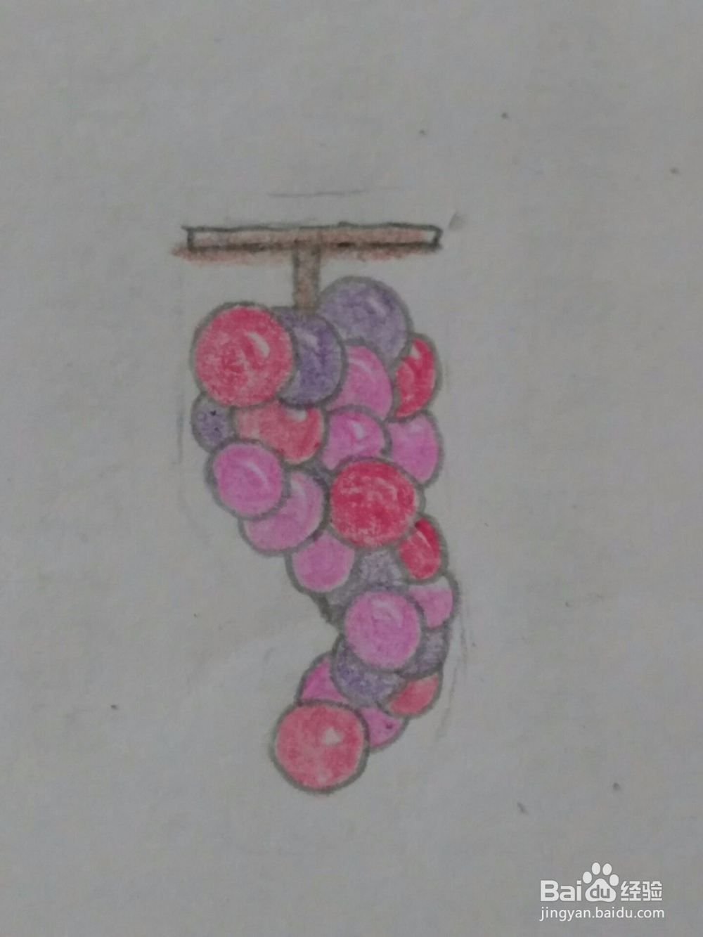 葡萄 简笔画 详细步骤教程