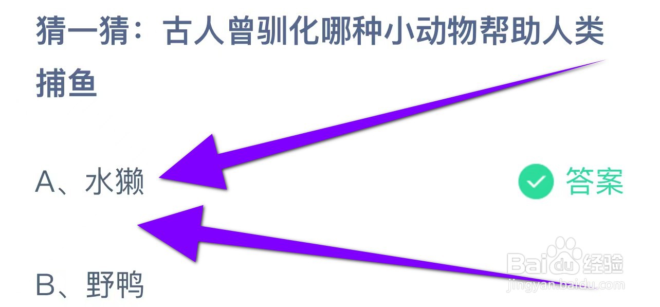 蚂蚁庄园今日最新答案11月11日(文字版)