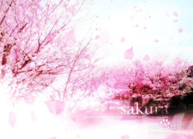 photoshop基础入门教程之PS调整图层的创建使用