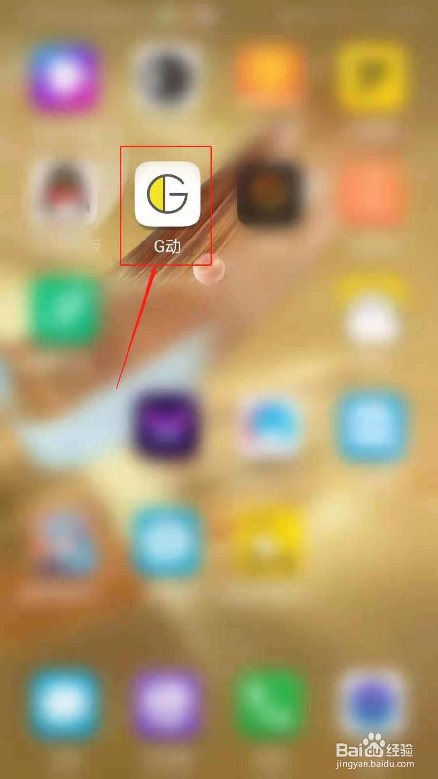 G动APP怎么开启训练提醒推送