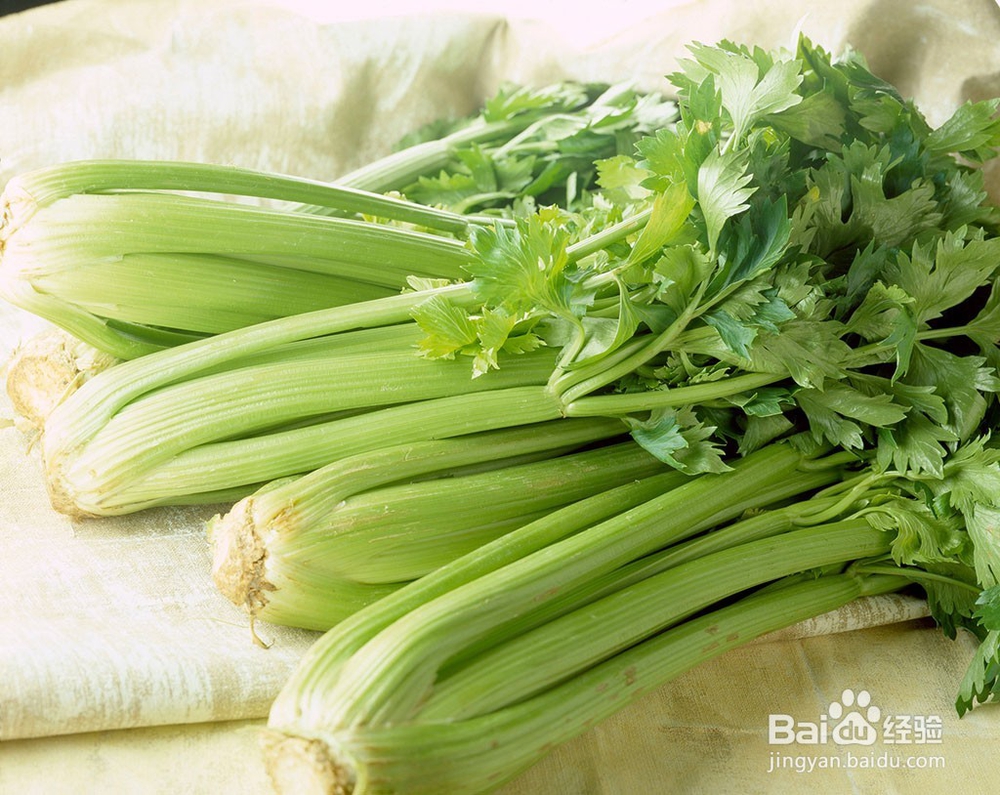 热量超低的减肥食物