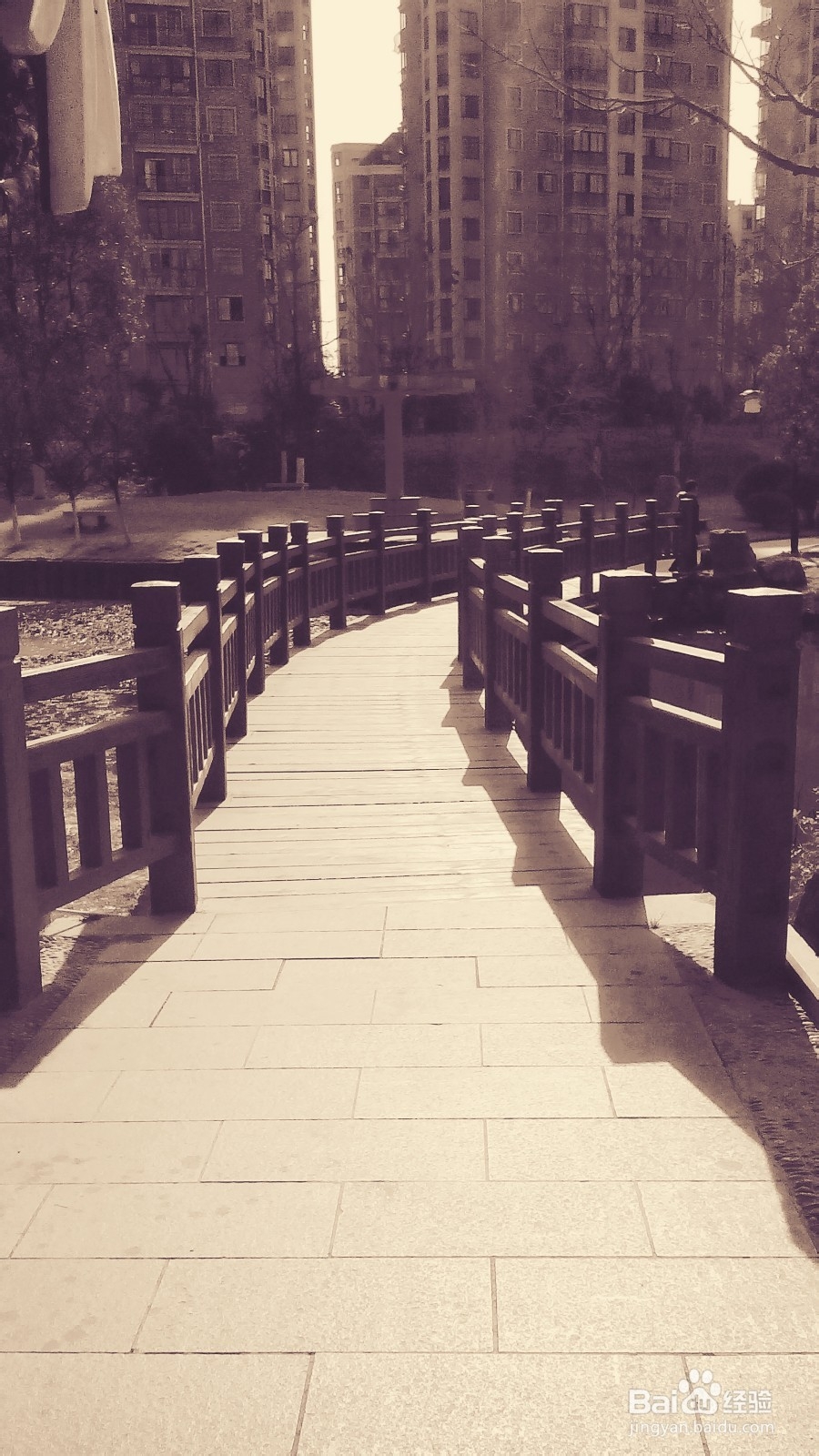 怎么拍下你遇到的简单唯美的风景？