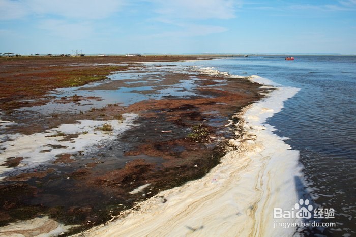 如何得到女孩的芳心?