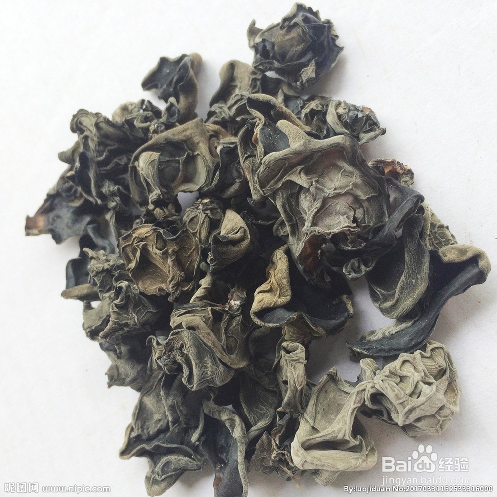 假黑木耳的识别方法