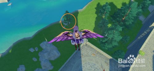 原神杉木哪里多？杉木砍伐路线推荐