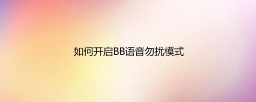 如何开启BB语音勿扰模式