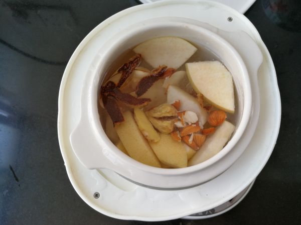 猪肺雪梨海底椰炖汤