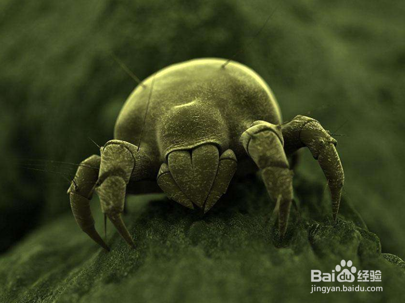 夏天长痘要注意什么