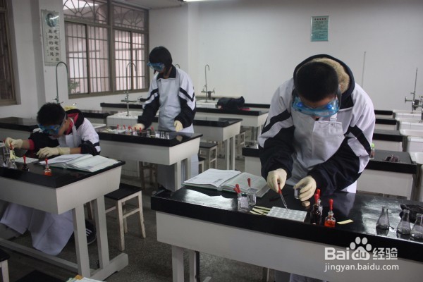 怎样开展研究性学习