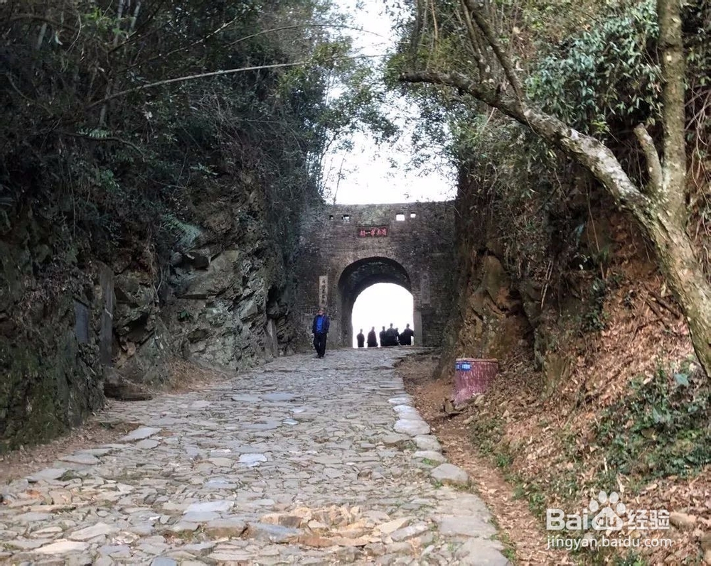 如何开展南粤古驿道保护利用