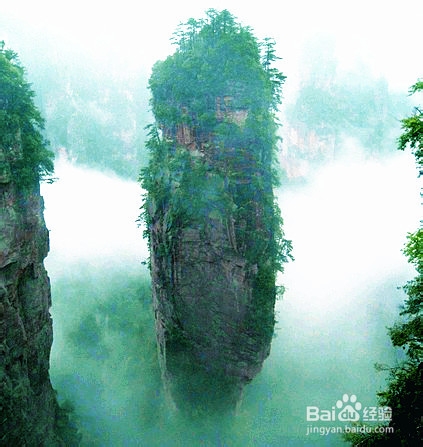 张家界旅游怎么选择旅行社