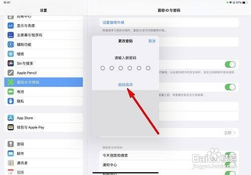 iPad Pro怎么置密码类型