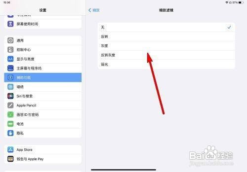iPad Pro如何设置缩放滤镜