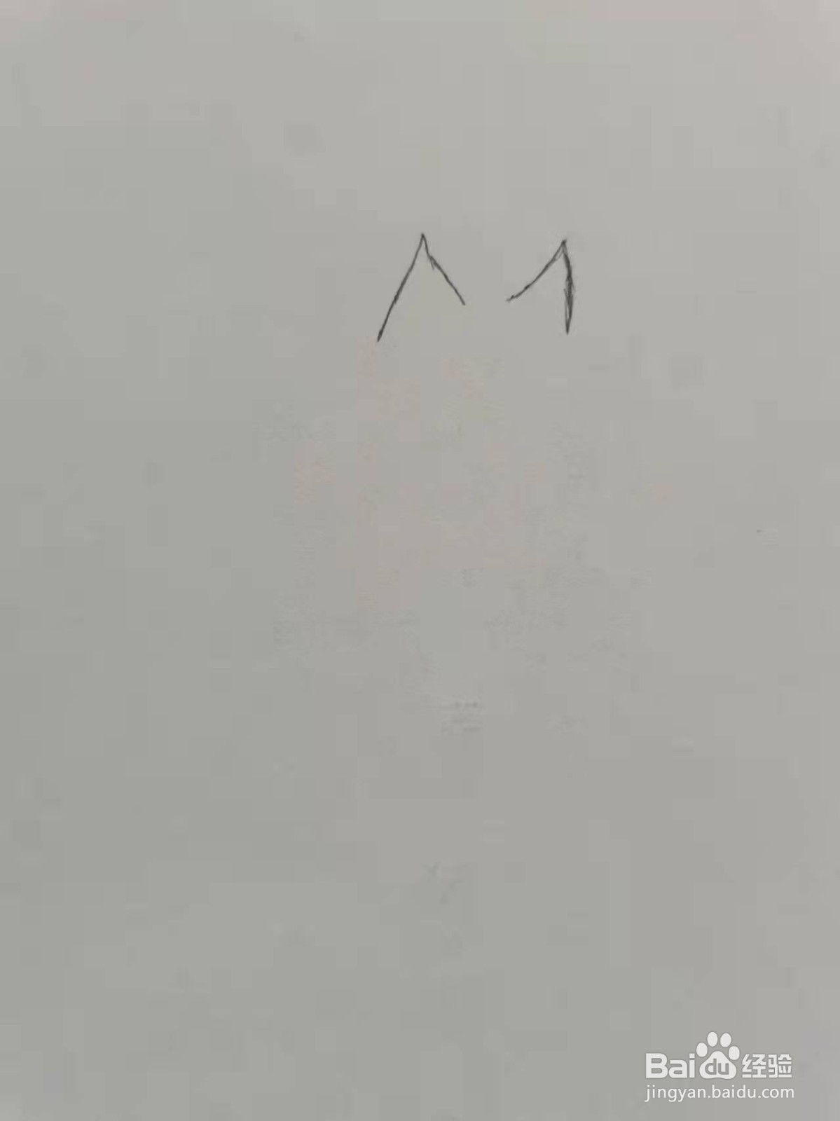 爱宠大机密里面的猫咪怎么画