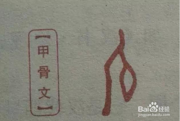什么是姓氏?你知道吗