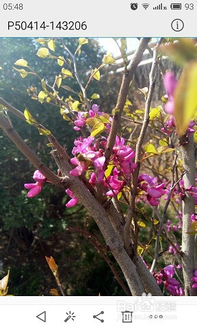 在手机上更改图片的尺寸和文件名