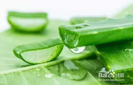 芦荟美容护肤，你知道怎样用好它么？
