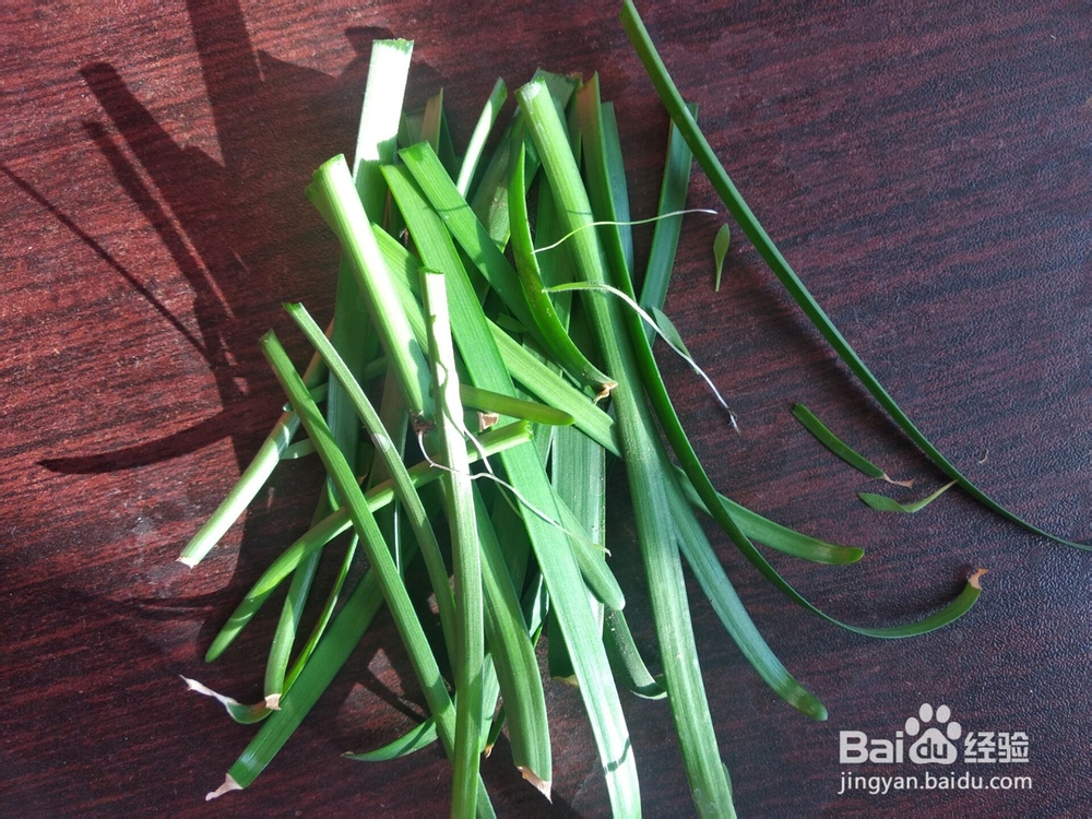 如何让胖丽丽小球快速生长