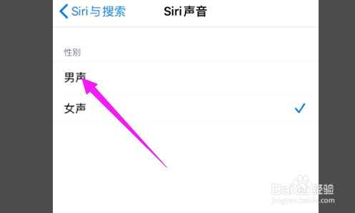 iphone12怎么将siri声音调节至男声