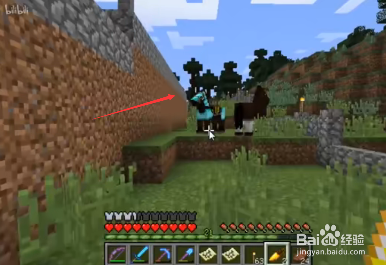 我的世界马吃什么才能繁殖