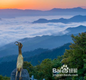 去广西哪些地方是一定要打卡的呢？