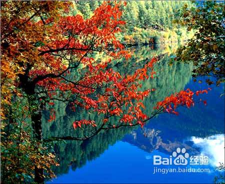 重庆九寨沟双飞自由行三日游指南