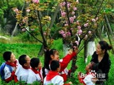 培养学习能力的好方法是什么