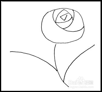 怎样画简笔画（花卉）：[3]玫瑰2