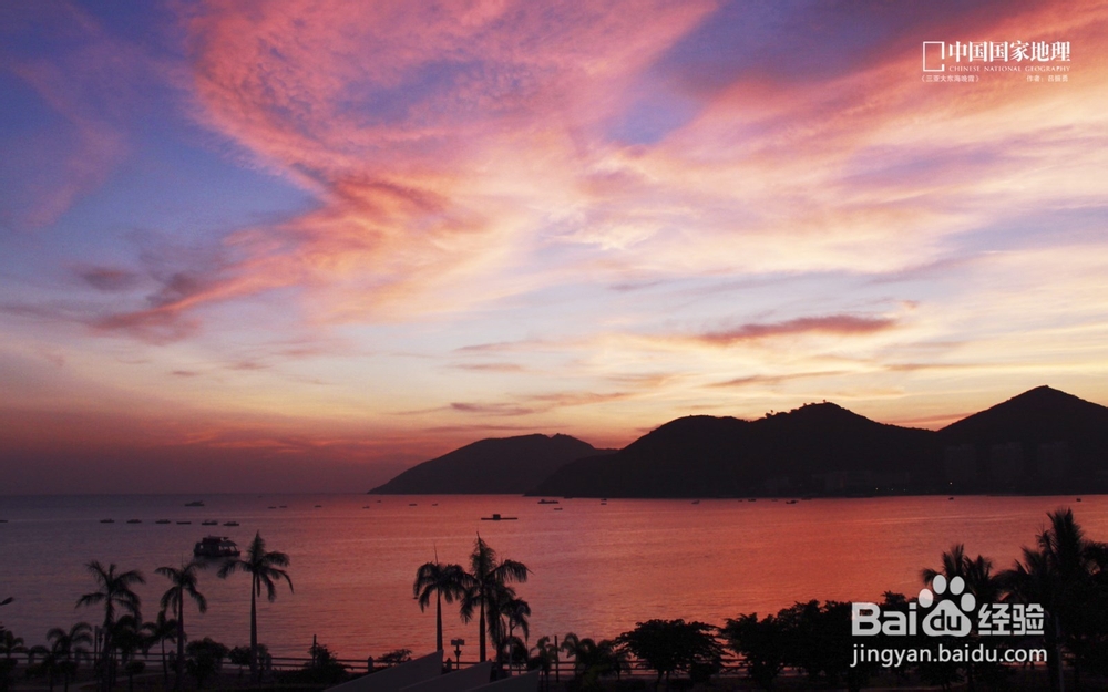 经济信息资源开发与利用：[42]复习总结四十二