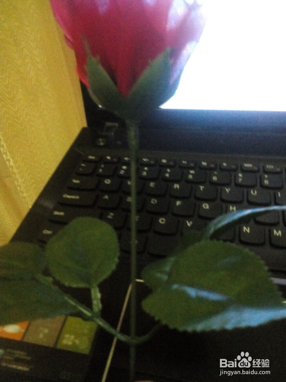 漂亮的丝网花玫瑰