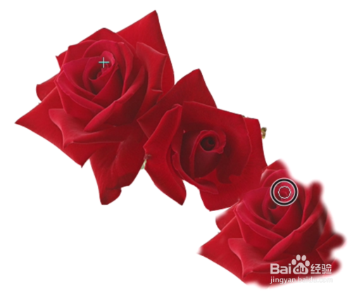 教你一招PS抠图小技巧