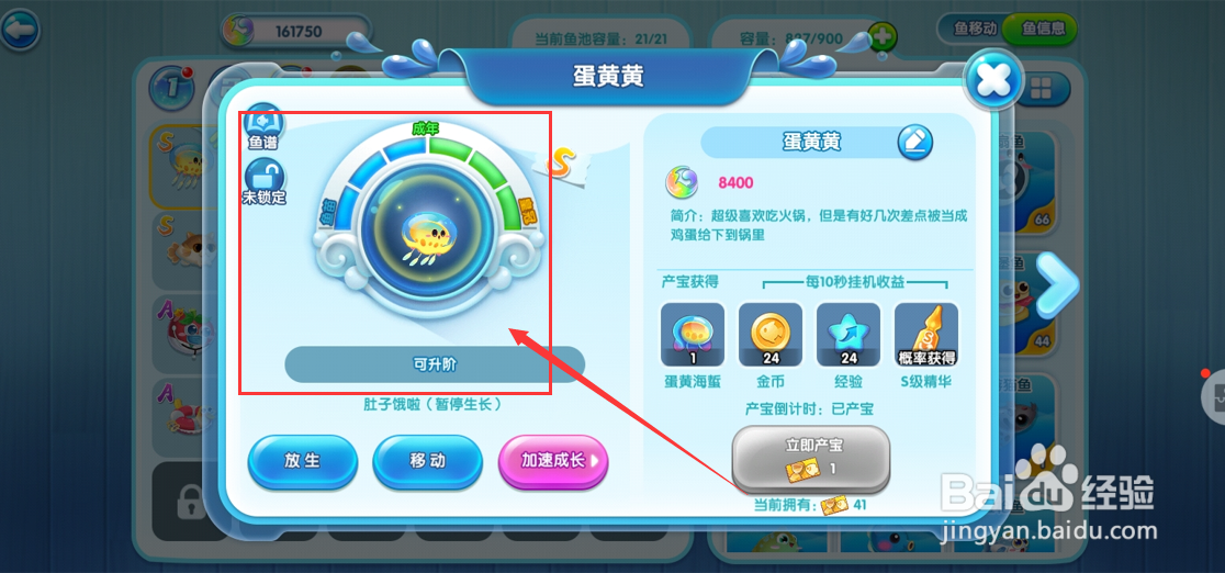 萌鱼泡泡手游如何将成年期蛋黄黄升阶到皇冠期