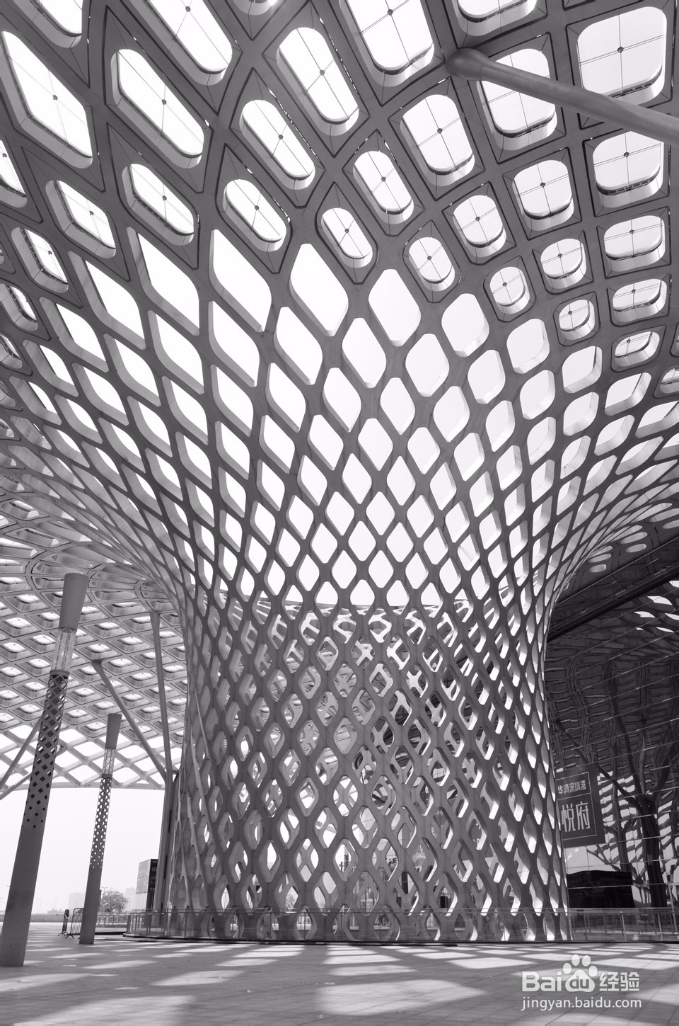 深圳湾体育中心（春茧）怎么样，好不好玩？