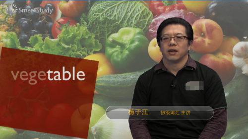 vegetable是什么意思