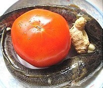 怎样做豆腐炖黑鱼才是最好吃的