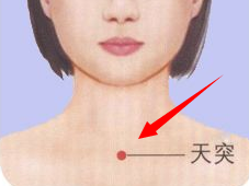 天突穴穴位位置图及作用-百度经验