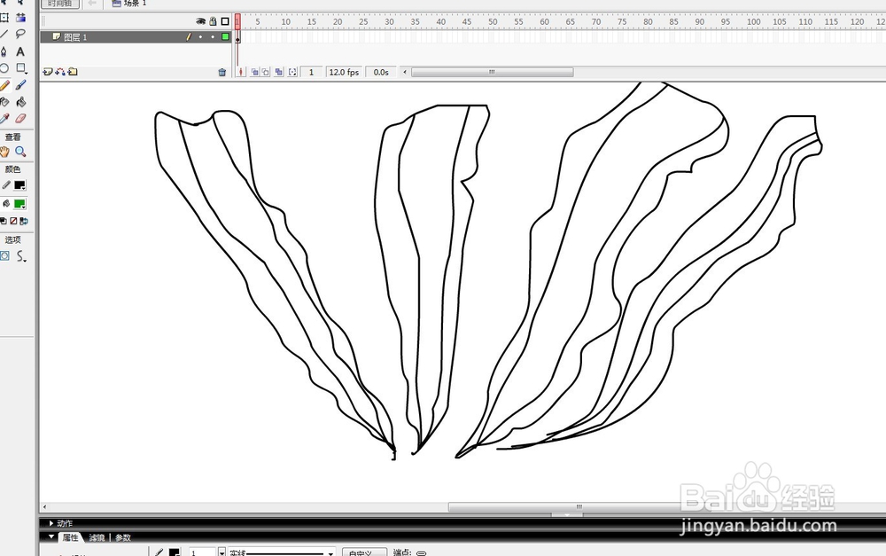 flash如何绘制海底的海带教程