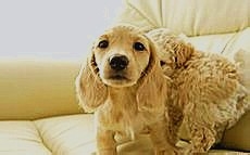 武魂宝石游戏攻略